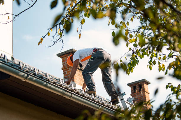 Best Roof Waterproofing Services  in Roseto, PA